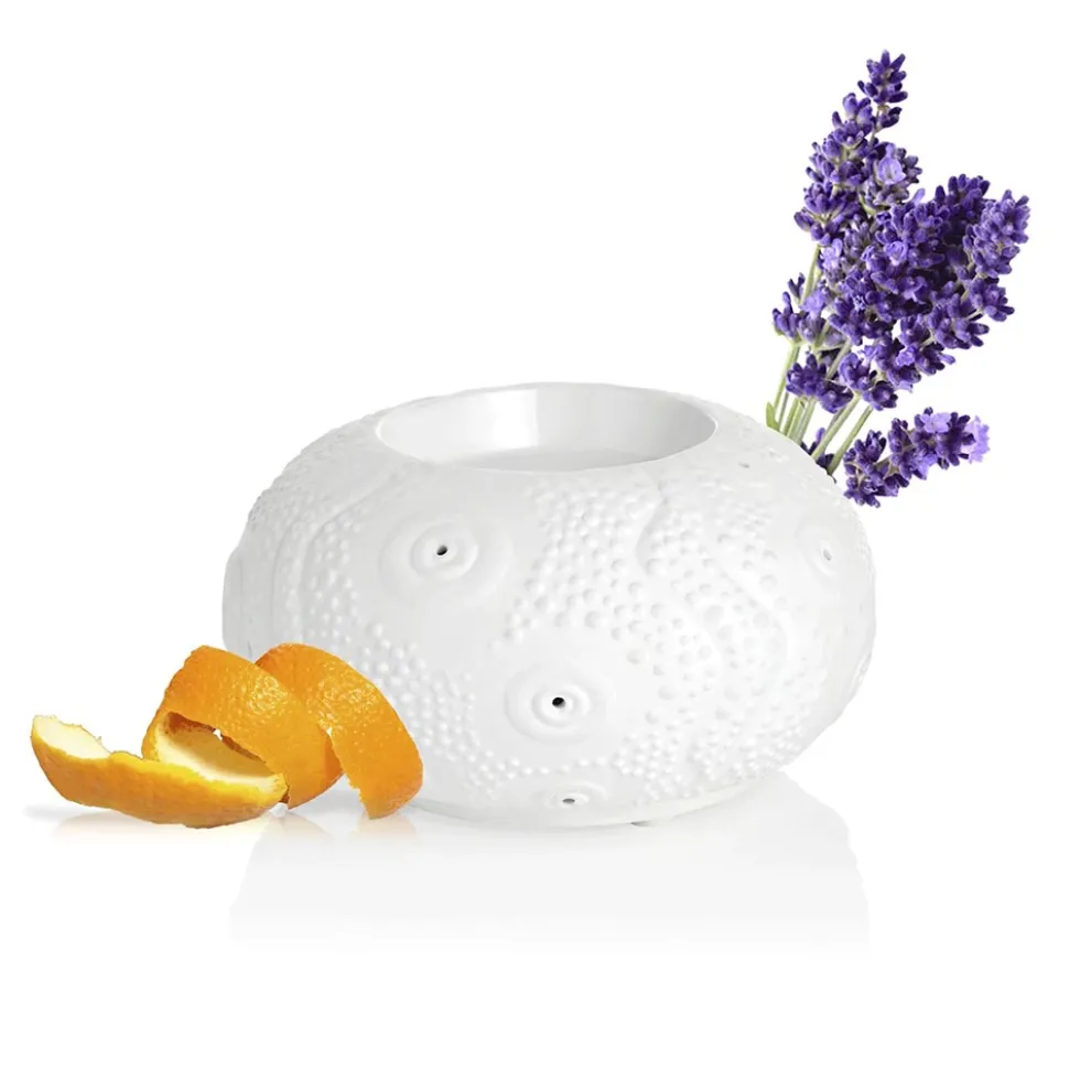 Puressentiel Calvi - Diffusore a calore dolce per oli essenziali, 1 diffusore