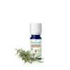 Puressentiel Olio essenziale di rosmarino canforato bio - Integratore per la funzione epatica, 10 ml