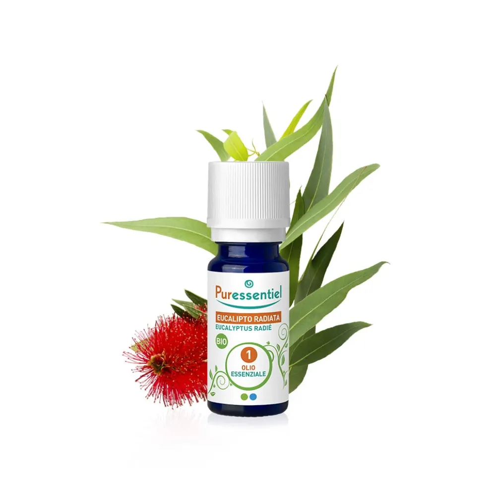 Puressentiel Olio essenziale di eucalipto radiata bio - Olio essenziale decongestionante, 10 ml
