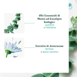 René Furterer Head SPA - Astera Concentrato Lenitivo Freschezza e Purezza, 50ml