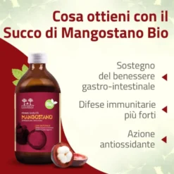 Salugea Succo Mangostano Bio Integratore Stomaco e Intestino, 500ml