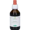 Sangalli Passiflora Foglie - Gocce sedative per il sonno, Sangalli tintura madre 100 ml