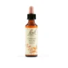 Schwabe Pharma Bach - Cherry Plum Fiori di Bach, 20ml