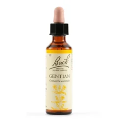 Schwabe Pharma Gentian - Gocce gentian Bach per superare lo scoraggiamento, flacone da 20 ml