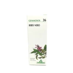 Specchiasol Gemmosol 36 Ribes Nero - Integratore alimentare per le vie respiratorie, 100 ml