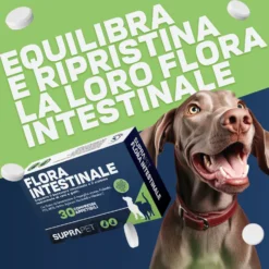 Suprapet Flora Intestinale Cani e Gatti Integratore Fermenti Lattici Probiotici, 30 Compresse