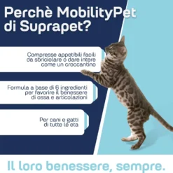 Suprapet MobilityPet Cani e Gatti Integratore Benessere Articolazioni, 90 Compresse
