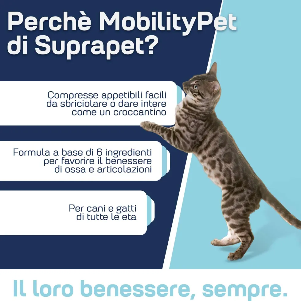 Suprapet MobilityPet Cani e Gatti Integratore Benessere Articolazioni, 90 Compresse