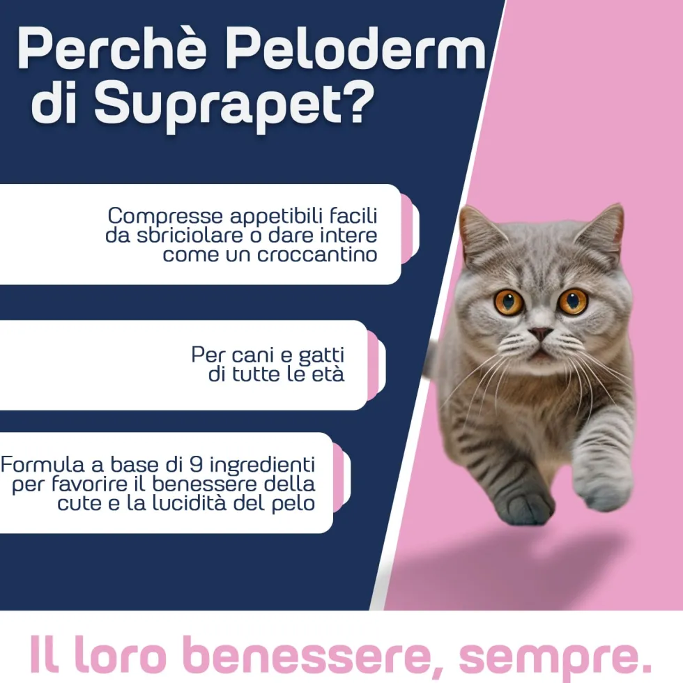 Suprapet Peloderm Cani e Gatti Integratore Perdita di Pelo, 30 Compresse
