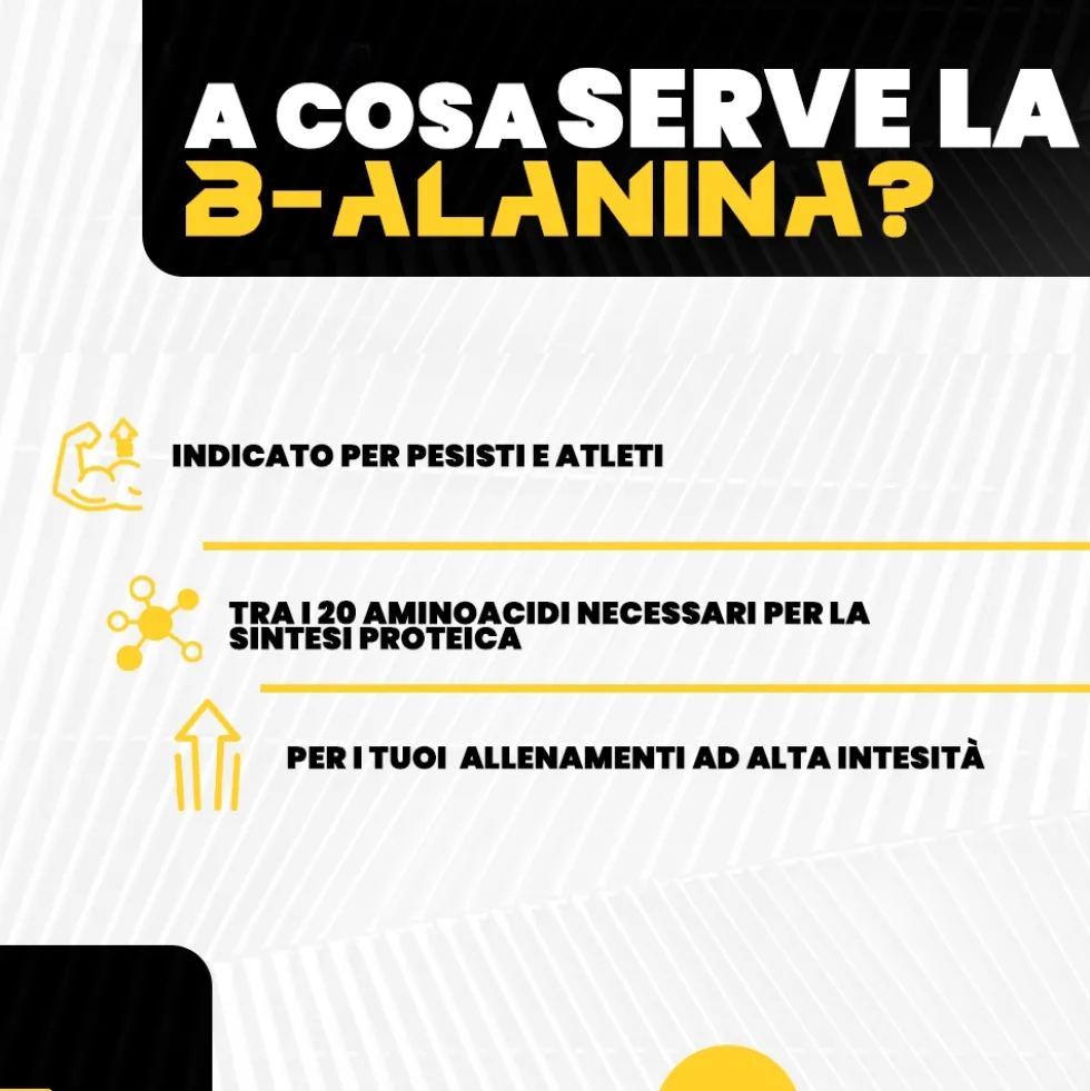 T-Rex Beta-Alanina Integratore Post Workout con Vitamine B1-B6 Precursore Carnosina, 120 Compresse