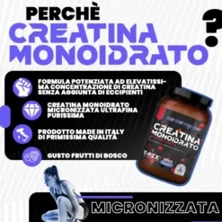 T-Rex Creatina monoidrato ai frutti di bosco - Integratore polvere per prestazioni fisiche, 250 g