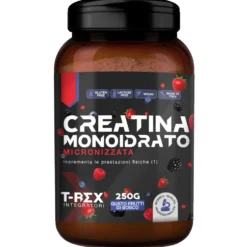 T-Rex Creatina monoidrato ai frutti di bosco - Integratore polvere per prestazioni fisiche, 250 g