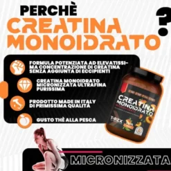 T-Rex Creatina Monoidrato Polvere Integratore per Sportivi in Polvere Gusto The alla Pesca, 250g