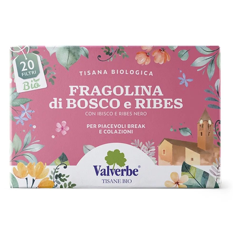 Valverbe Fragolina di Bosco e Ribes Bio Tisana biologica, 20 filtri
