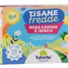 Valverbe Tisana fredda rosa canina e ibisco Infuso biologico rinfrescante, 18 filtri