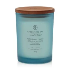 Yankee Candle Reflection & Clarity - Candela Sale Marino e Salvia Media, 250g
