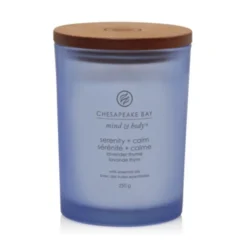Yankee Candle Serenity & Calm - Candela Profumata Lavanda e Timo Media, 250g